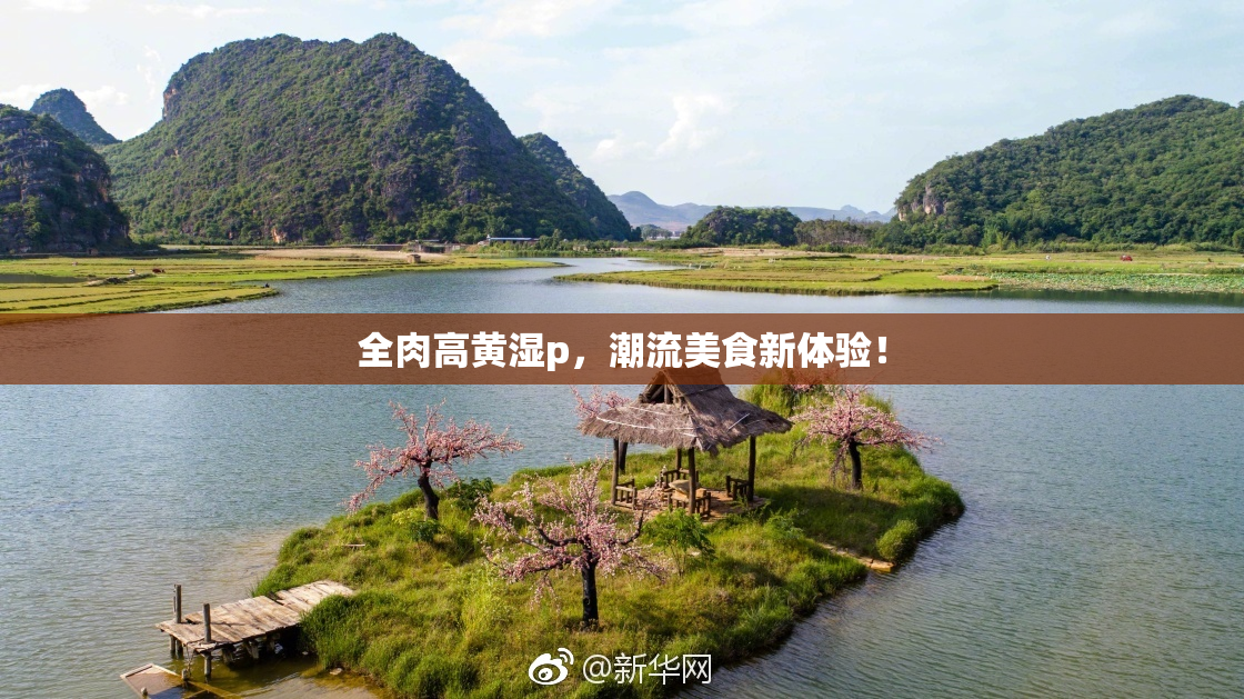 全肉高黄湿p，潮流美食新体验！