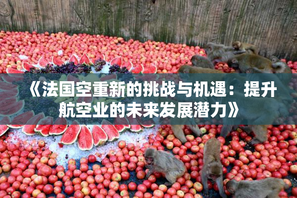 《法国空重新的挑战与机遇：提升航空业的未来发展潜力》
