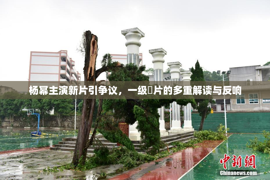 杨幂主演新片引争议，一级婬片的多重解读与反响