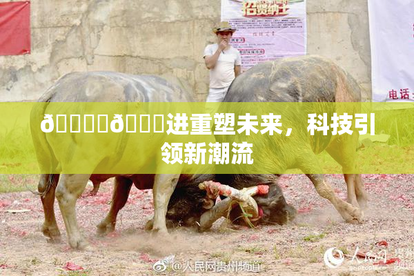 🔞‌🍌进重塑未来，科技引领新潮流
