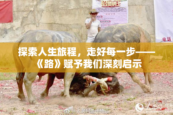 探索人生旅程，走好每一步——《路》赋予我们深刻启示
