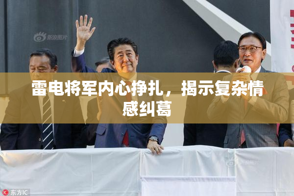 雷电将军内心挣扎，揭示复杂情感纠葛