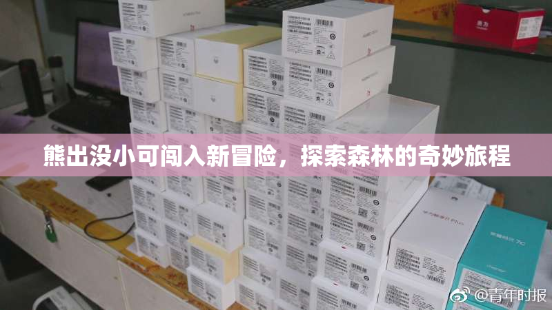 熊出没小可闯入新冒险，探索森林的奇妙旅程