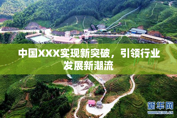 中国XXX实现新突破，引领行业发展新潮流