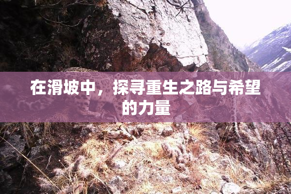 在滑坡中，探寻重生之路与希望的力量