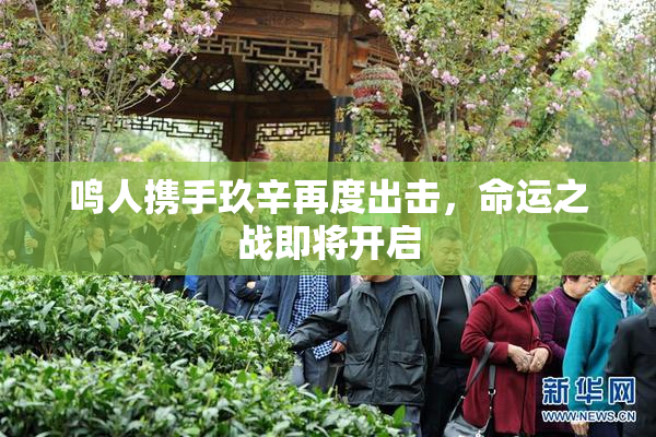 鸣人携手玖辛再度出击，命运之战即将开启