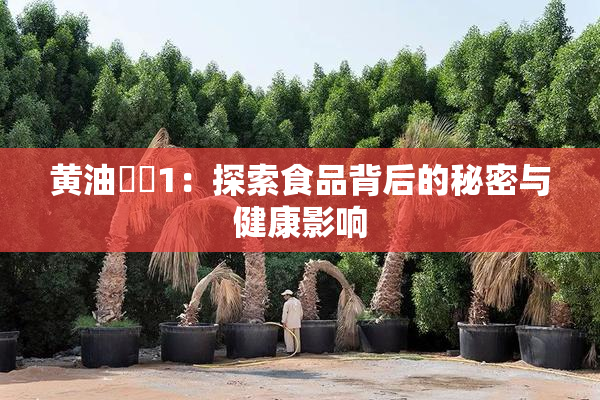 黄油❌‌1：探索食品背后的秘密与健康影响