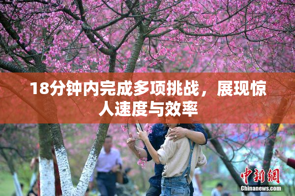 18分钟内完成多项挑战，展现惊人速度与效率