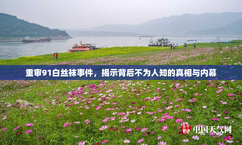 重审91白丝袜事件，揭示背后不为人知的真相与内幕