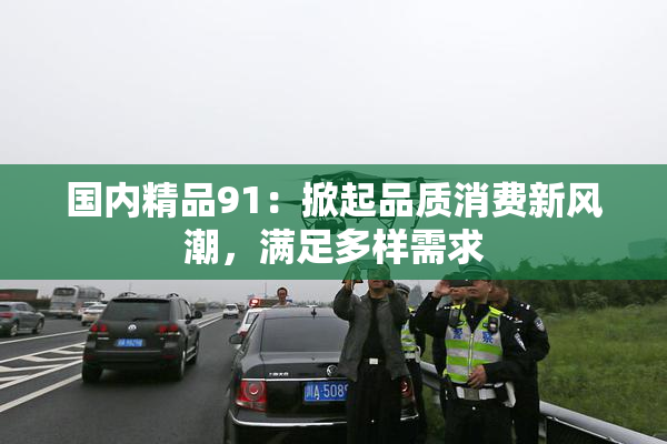 国内精品91：掀起品质消费新风潮，满足多样需求