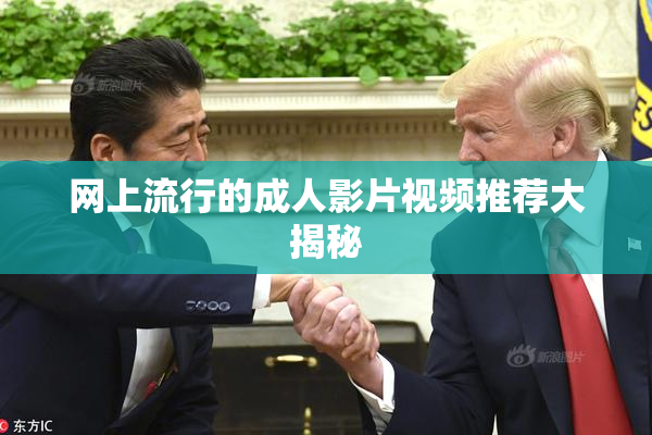 网上流行的成人影片视频推荐大揭秘