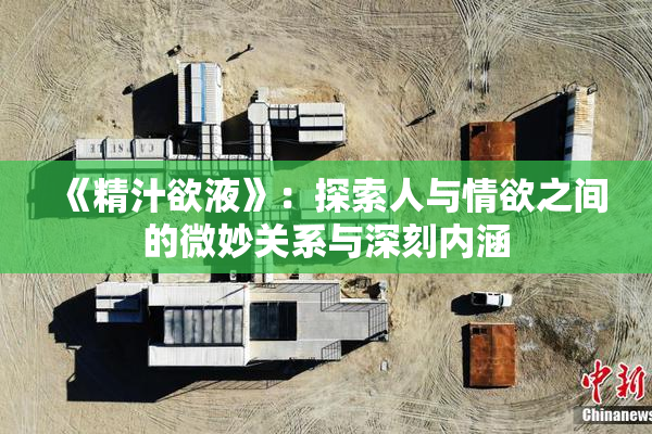 《精汁欲液》：探索人与情欲之间的微妙关系与深刻内涵