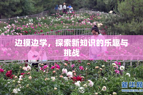 边摸边学，探索新知识的乐趣与挑战
