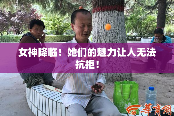 女神降临！她们的魅力让人无法抗拒！