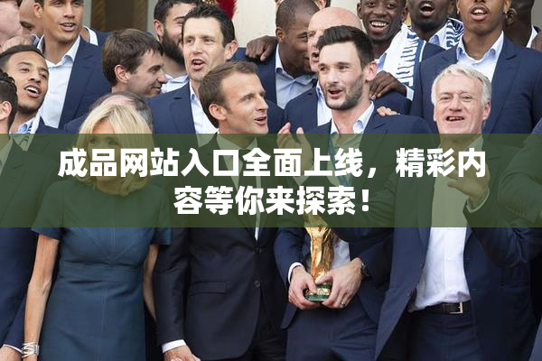 成品网站入口全面上线，精彩内容等你来探索！