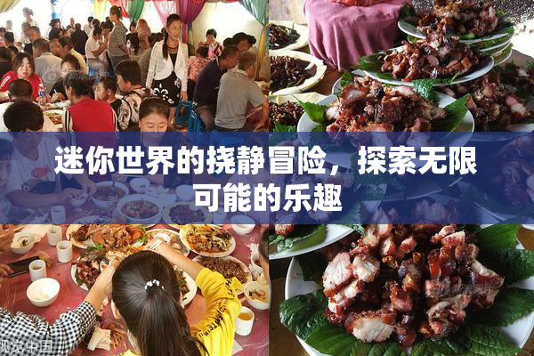 迷你世界的挠静冒险，探索无限可能的乐趣
