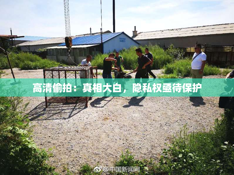 高清偷拍：真相大白，隐私权亟待保护