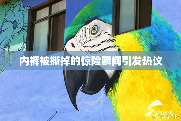 内裤被撕掉的惊险瞬间引发热议