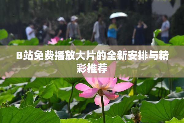 B站免费播放大片的全新安排与精彩推荐