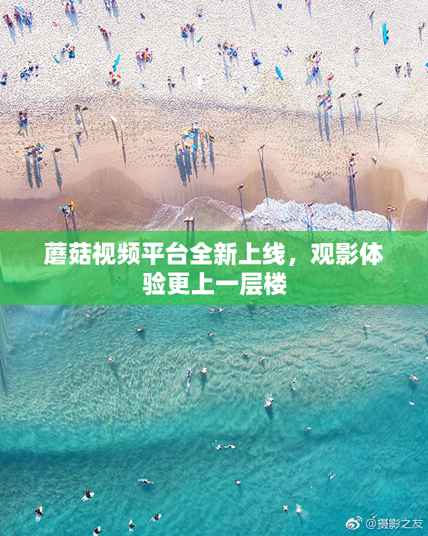 蘑菇视频平台全新上线，观影体验更上一层楼