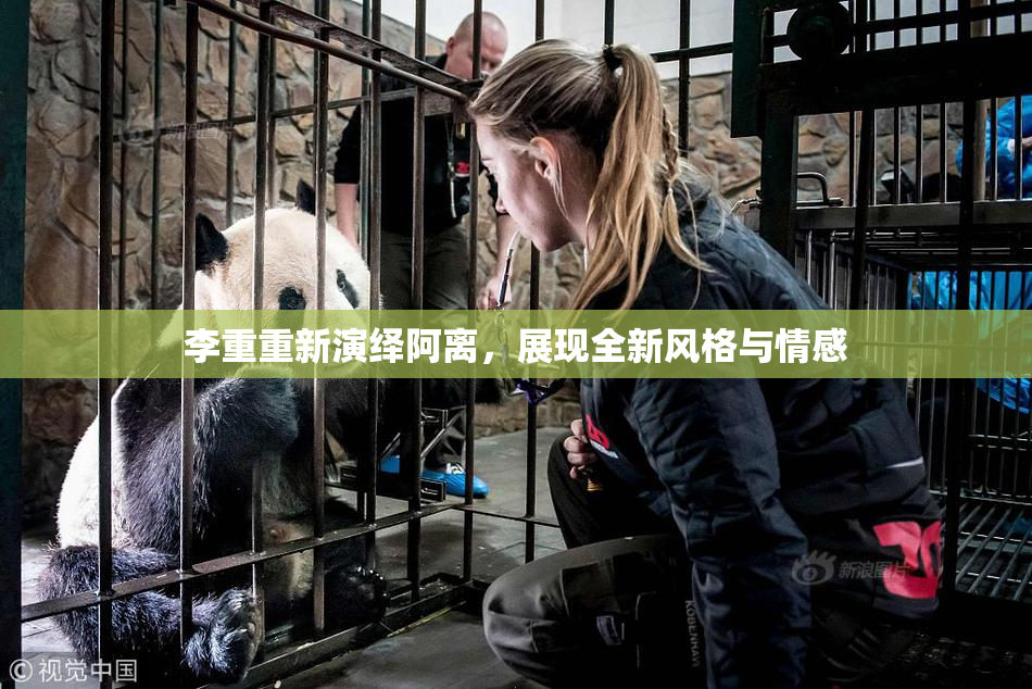 李重重新演绎阿离，展现全新风格与情感