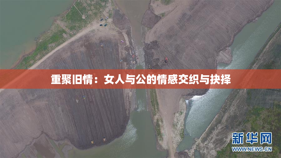 重聚旧情：女人与公的情感交织与抉择