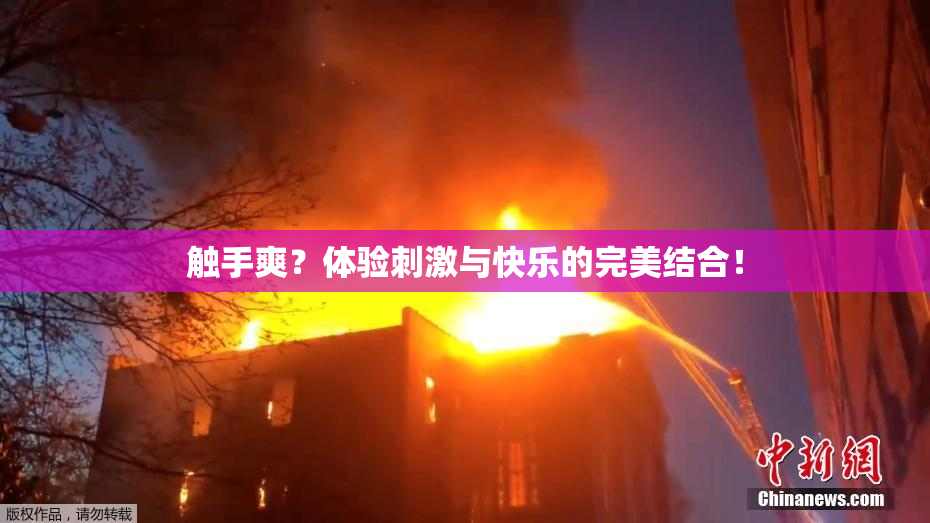 触手爽？体验刺激与快乐的完美结合！