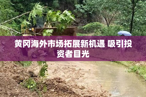 黄冈海外市场拓展新机遇 吸引投资者目光