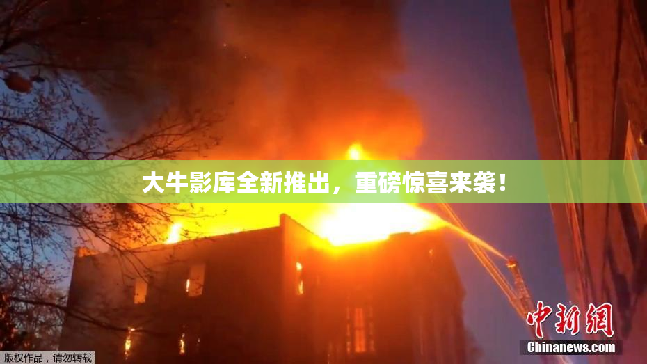 大牛影库全新推出，重磅惊喜来袭！