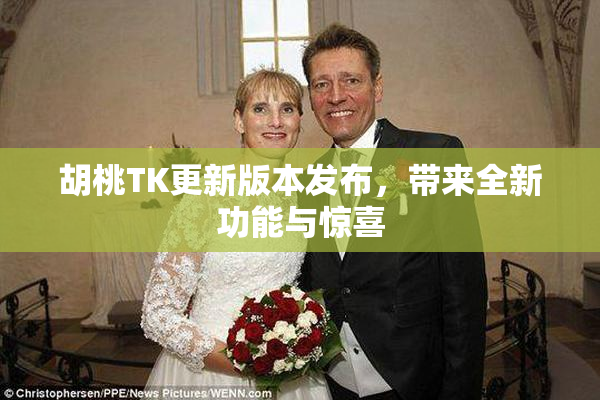 胡桃TK更新版本发布，带来全新功能与惊喜