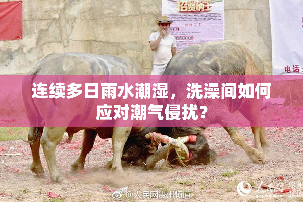 连续多日雨水潮湿，洗澡间如何应对潮气侵扰？