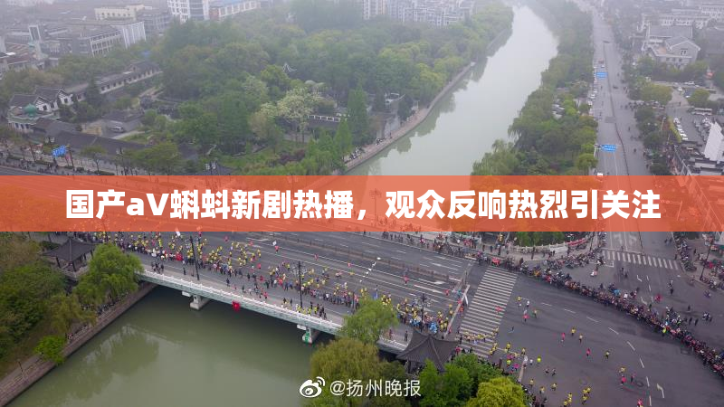国产aV蝌蚪新剧热播，观众反响热烈引关注