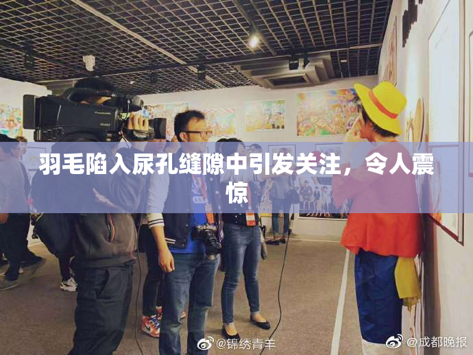 羽毛陷入尿孔缝隙中引发关注，令人震惊