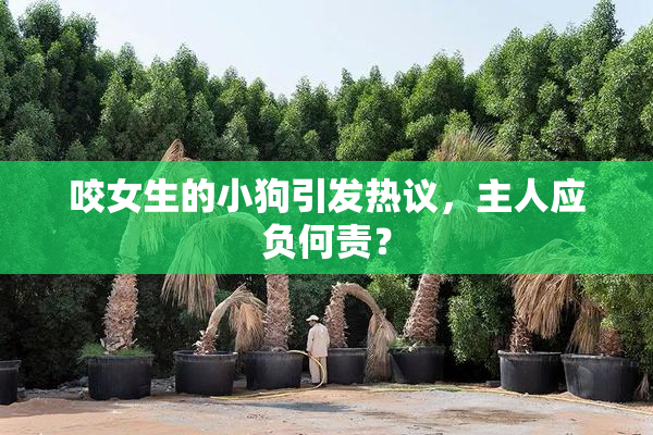 咬女生的小狗引发热议，主人应负何责？