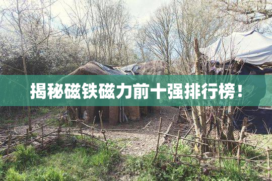 揭秘磁铁磁力前十强排行榜！