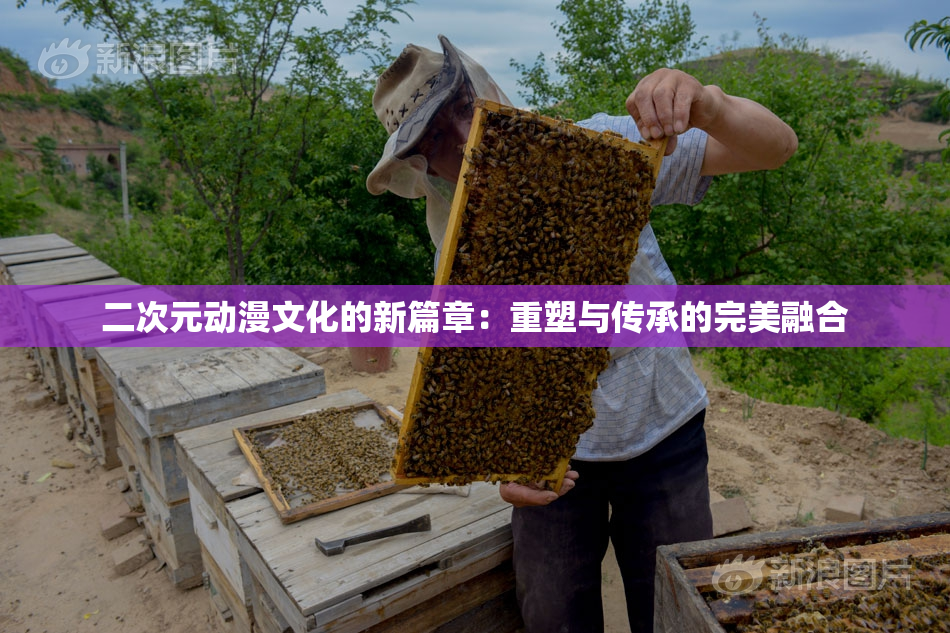 二次元动漫文化的新篇章：重塑与传承的完美融合