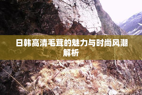 日韩高清毛茸的魅力与时尚风潮解析