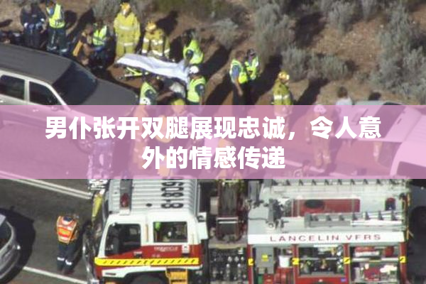 男仆张开双腿展现忠诚，令人意外的情感传递