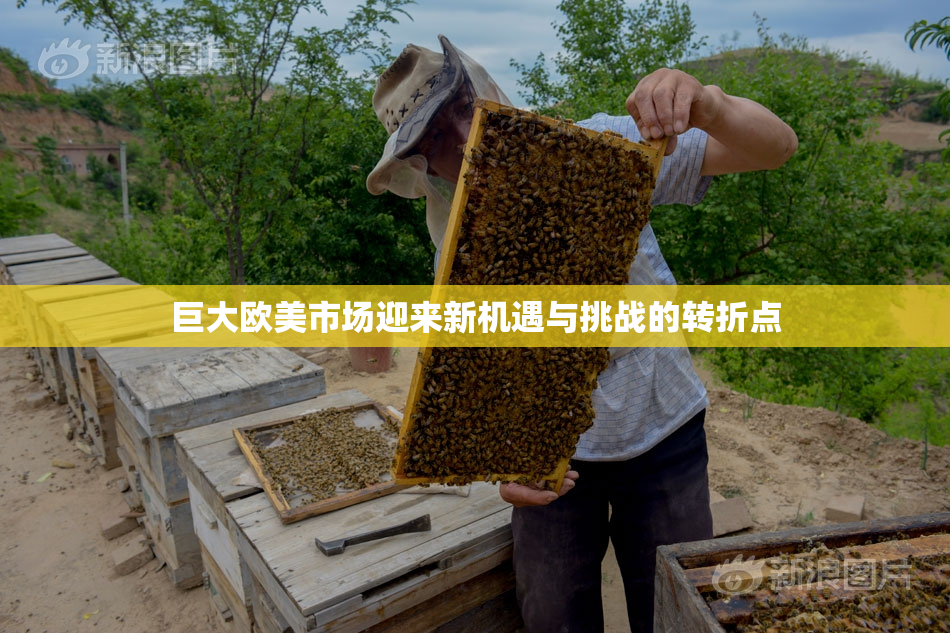 巨大欧美市场迎来新机遇与挑战的转折点