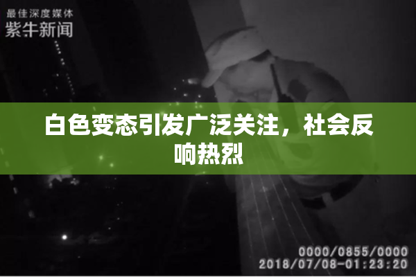 白色变态引发广泛关注，社会反响热烈
