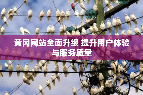 黄冈网站全面升级 提升用户体验与服务质量