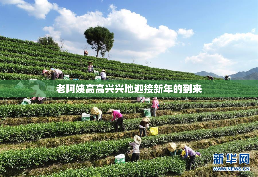 老阿姨高高兴兴地迎接新年的到来