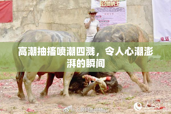 高潮抽搐喷潮四溅，令人心潮澎湃的瞬间
