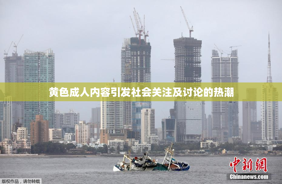 黄色成人内容引发社会关注及讨论的热潮
