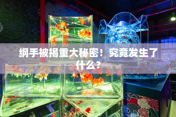 纲手被揭重大秘密！究竟发生了什么？