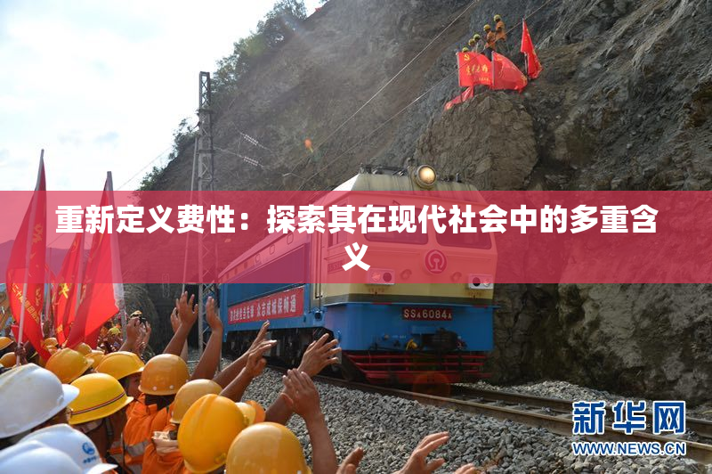 重新定义费性：探索其在现代社会中的多重含义