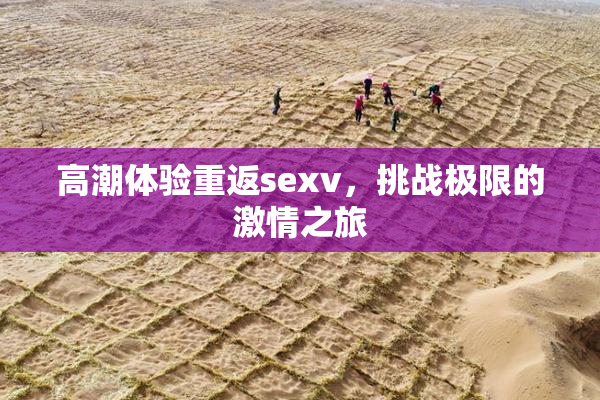 高潮体验重返sexv，挑战极限的激情之旅