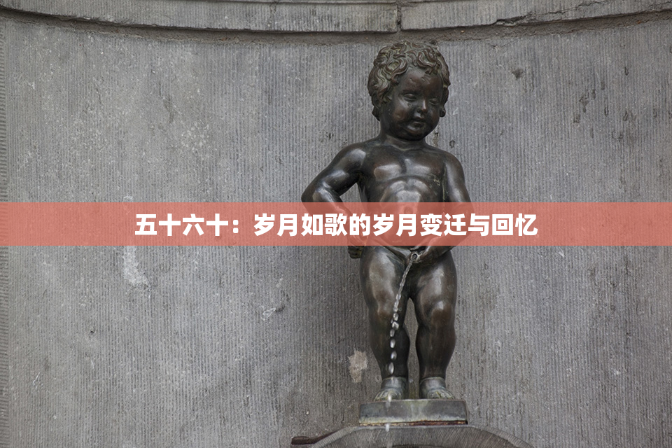 五十六十：岁月如歌的岁月变迁与回忆