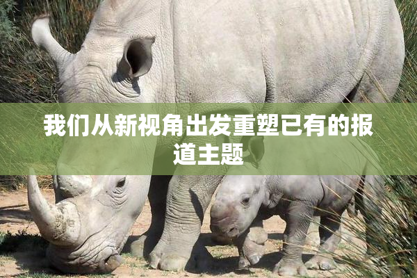 我们从新视角出发重塑已有的报道主题
