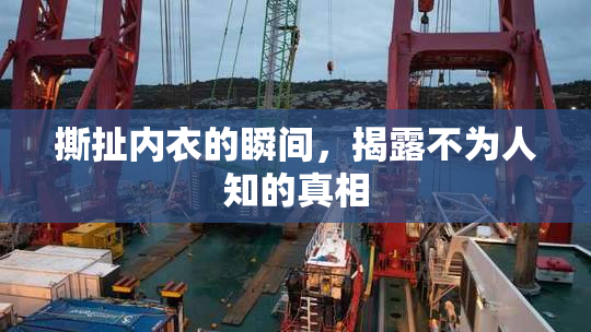撕扯内衣的瞬间，揭露不为人知的真相